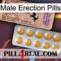 Male Erection Pills 41